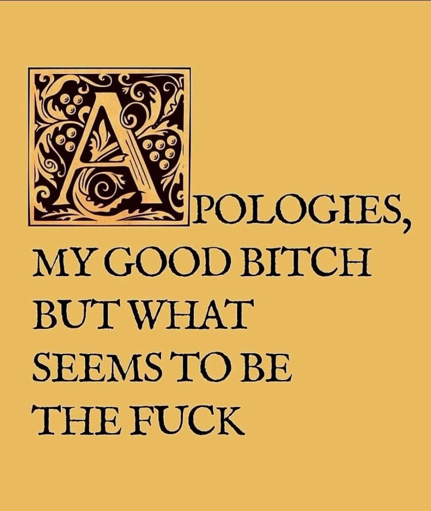 APOLOGIES,
MY GOOD BITCH
BUT WHAT SEEMS TO BE THE FUCK