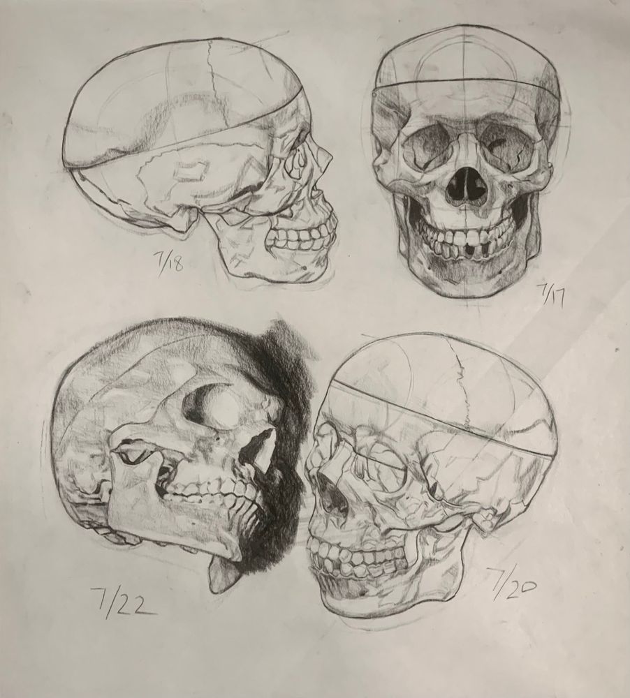 A page of four charcoal studies drawn of the human skull, going clockwise from right to left top to bottom: a linear profile view of the skull with the shadows mapped out but not shaded in draw on 7/18, a full front view of the head with the tonal shadows all shared in drawn on 7/17, a 3/4 view of the skull facing towards the left with all of the shadows mapped out but not shaded in drawn on 7/20 and a 3/4 view of the skull with an upward tilt with all of the tonal shading added to the form drawn on 2/22.