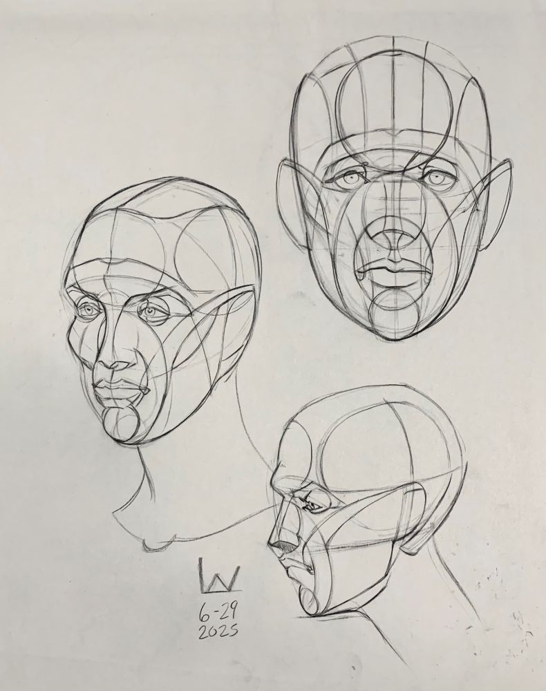 A page of charcoal studies showing the face drawn from three angles: 3/4 view, front full view and profile side view facing towards the left all drawn in a linear lay-in style using rhythm abstraction lines known at “the Reilly method” mostly in ovals and circles and long sweeping curved lines indicating where the nose, eyes, lips, ears, brow, chin and forehead are located on the form. Labeled with an LW. Drawn on 6-29 2025.
