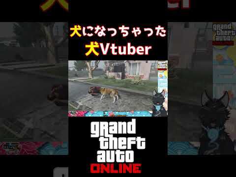 GTAで犬になっちゃった犬Vtuber #shorts #gta5 #gtaonline #gtav #gta