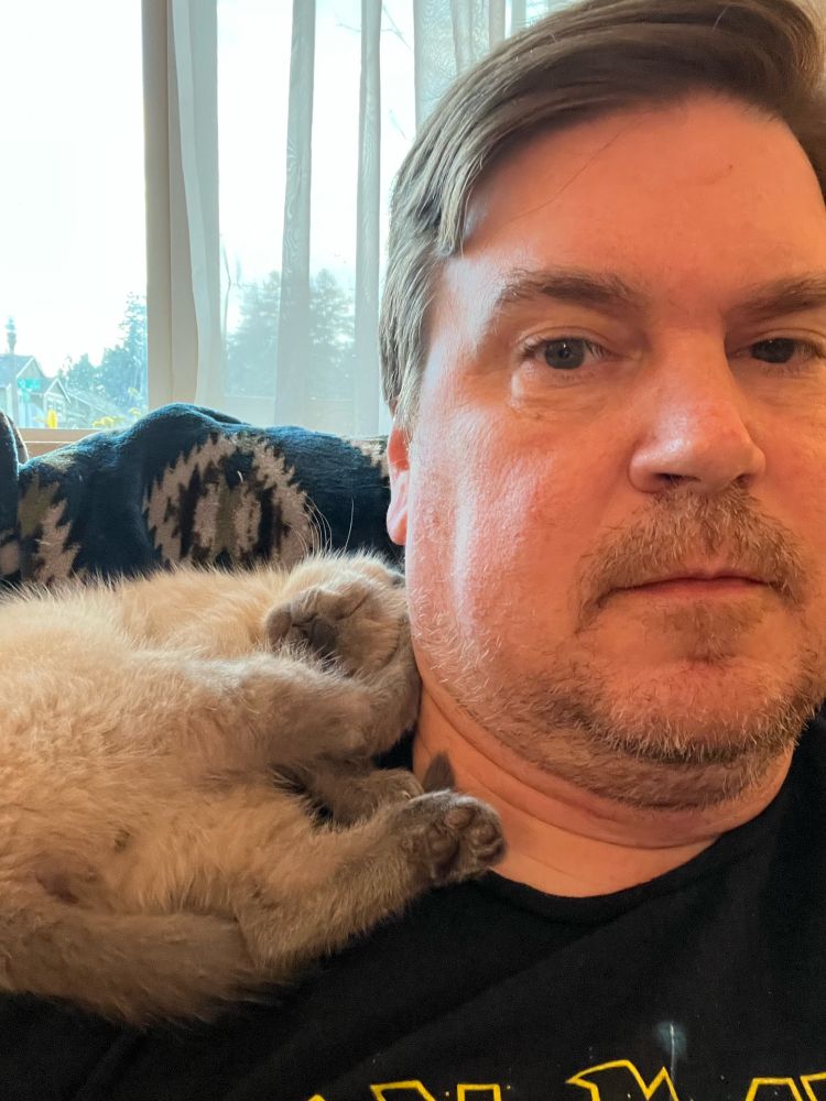 Kitten sleeping on my shoulder. 