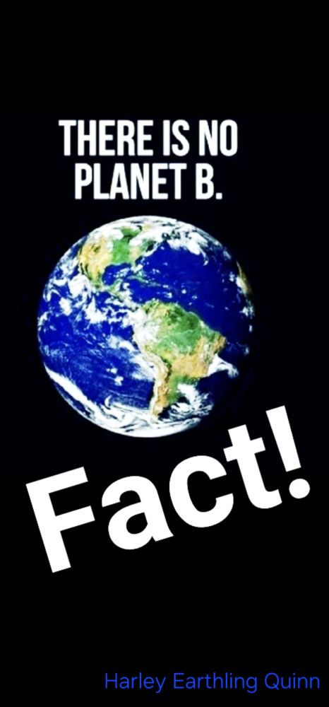 Die Erde auf tiefschwarzen Hinterhrund mittig im Bild, darüber steht 
      
       THERE IS NO
        PLANET B.

Darunter steht, leich schräg:

 FACT!