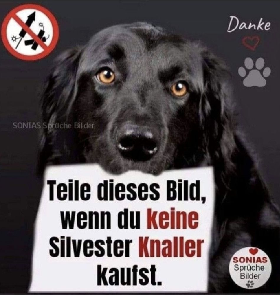 Bild worauf ein schwarzer Hund ein weisses Blatt in der Schbauze hält waeuf steht:
Danke ( oben rechts in der Exke mit einem Pfotenabdruck) 

Teile dieses Bild, wenn du keine Silvester Knaller kaufst.