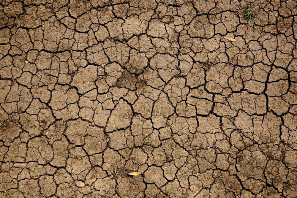 Serbia: Climate change is taking its toll on the environment and on agriculture