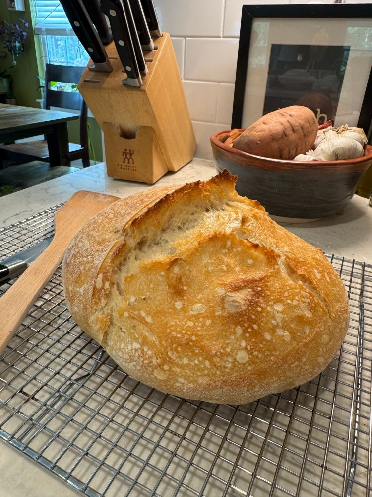 A golden brown sourdough boule out of the oven