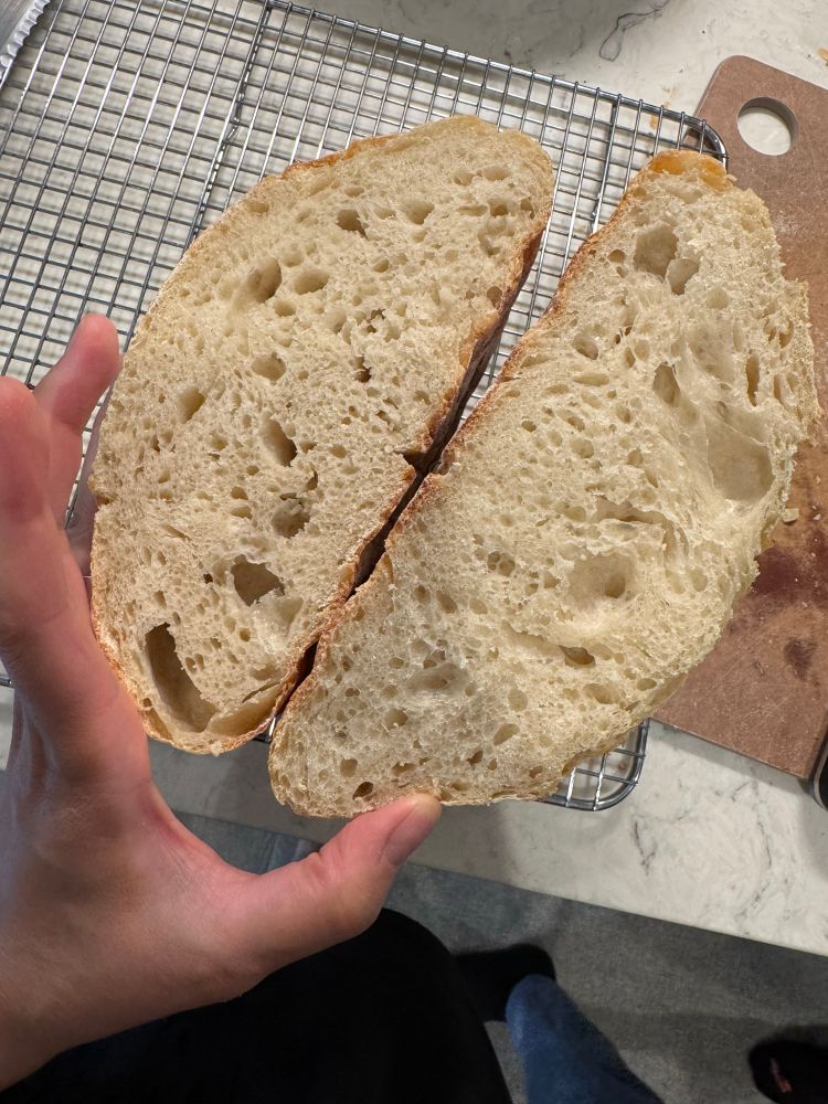 A sourdough boule cut in half, exposing the crumb