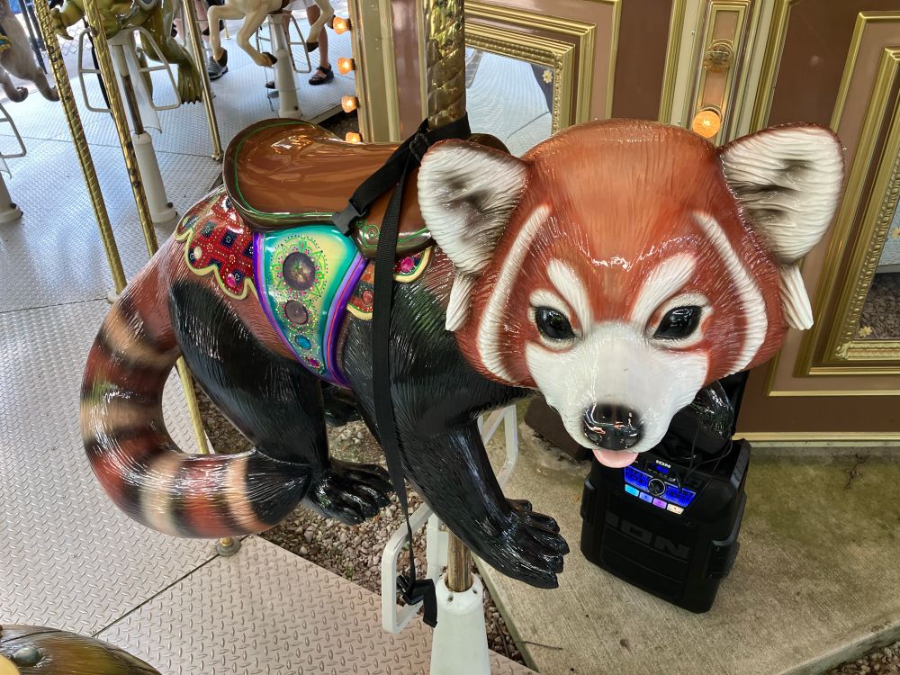 A Red Panda on a carousel.