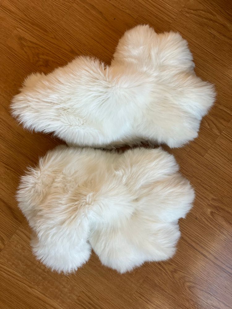 Pic of Rex Masters feet paws 