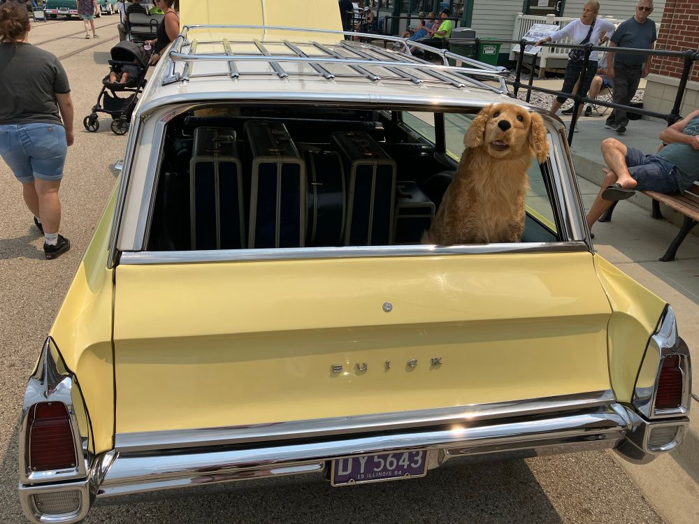 A Buick station wagon at a car show with a display of matching luggage in the back with a large plushie Golden Retriever looking out the back.