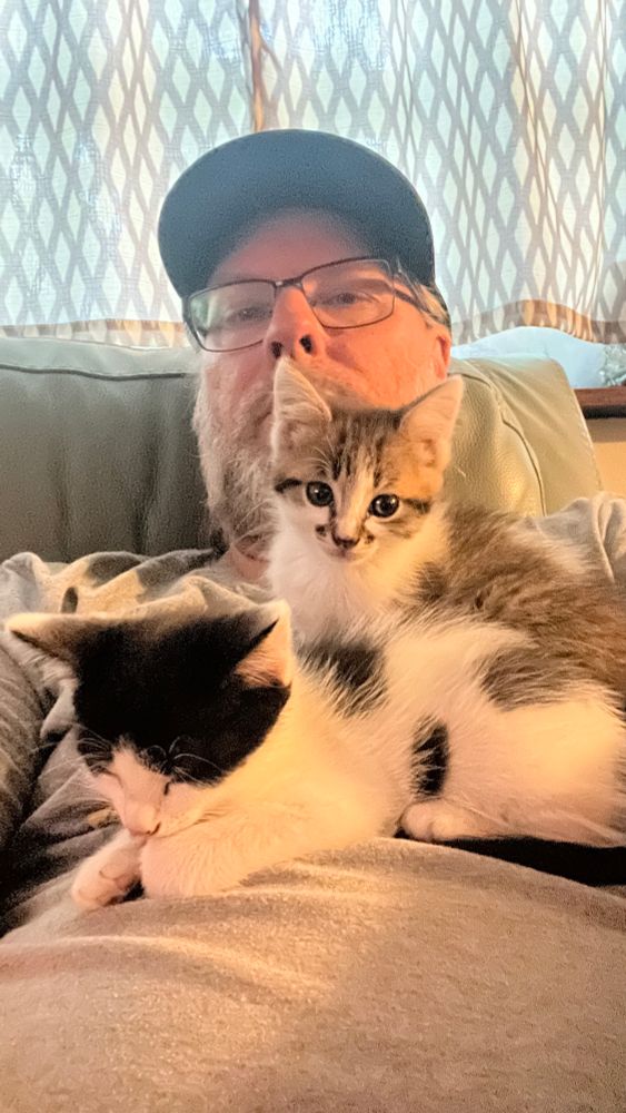 Kittens Zuki and Busa sitting on my chest