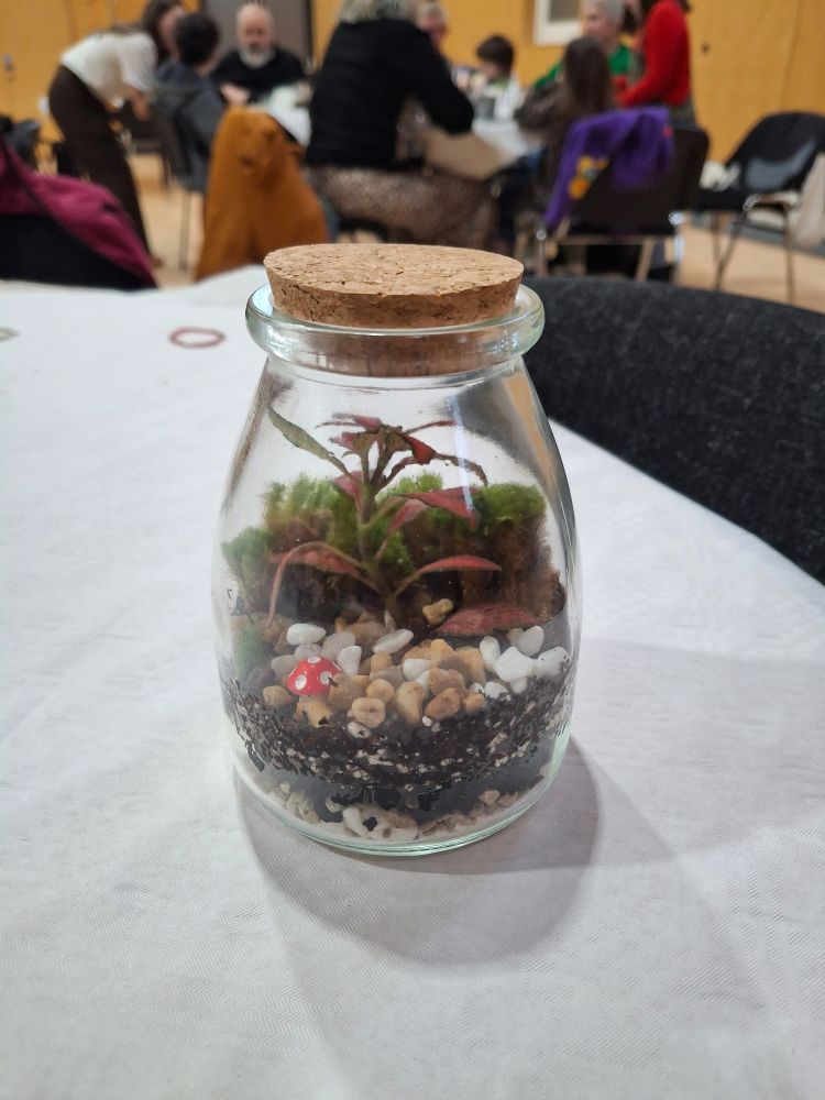 Terrarium filled with layers of stones, soil, a plant and moss