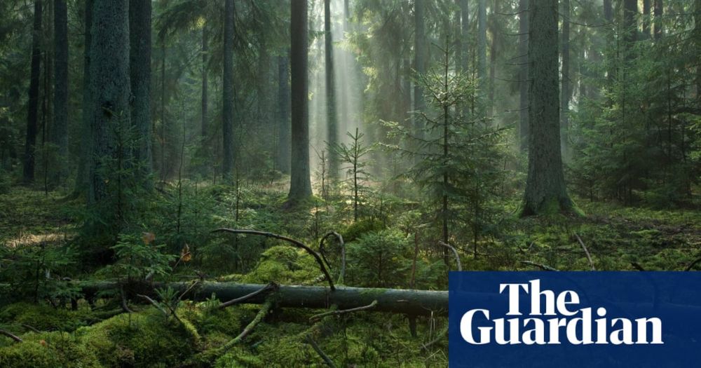 The Extinction of Irena Rey by Jennifer Croft review – eight translators lost in a forest