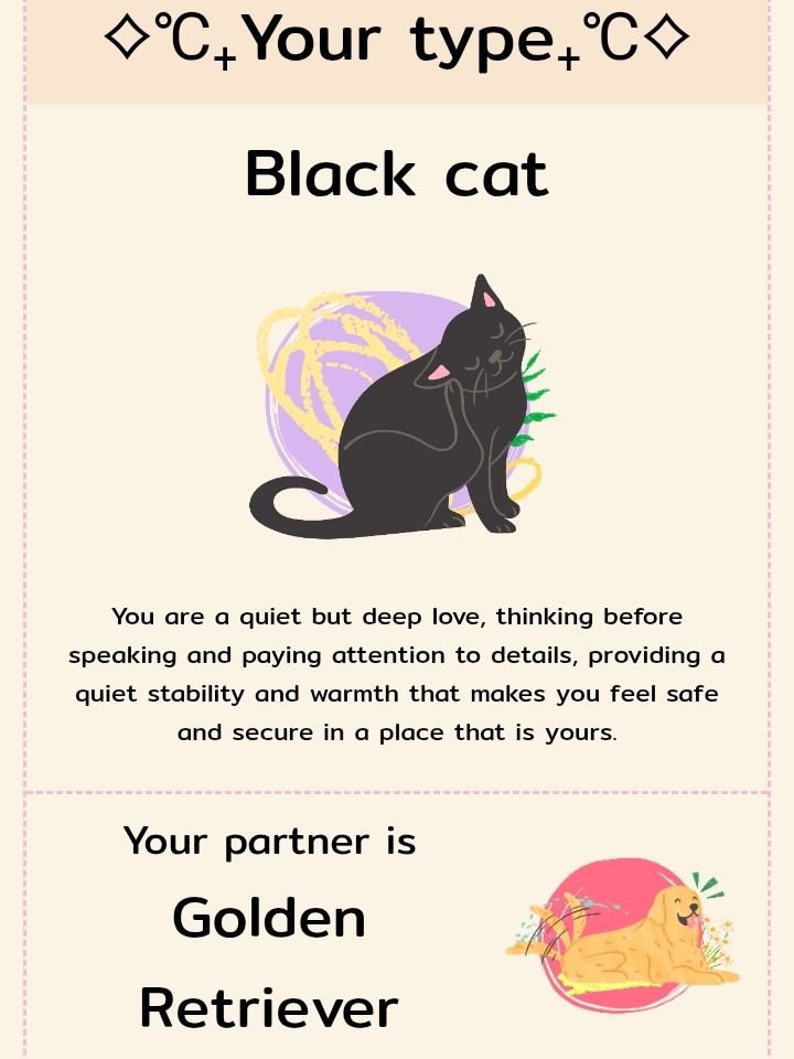 Resultado de um teste me dizendo que sou um gato preto e que meu parceiro ideal é o golden retriever