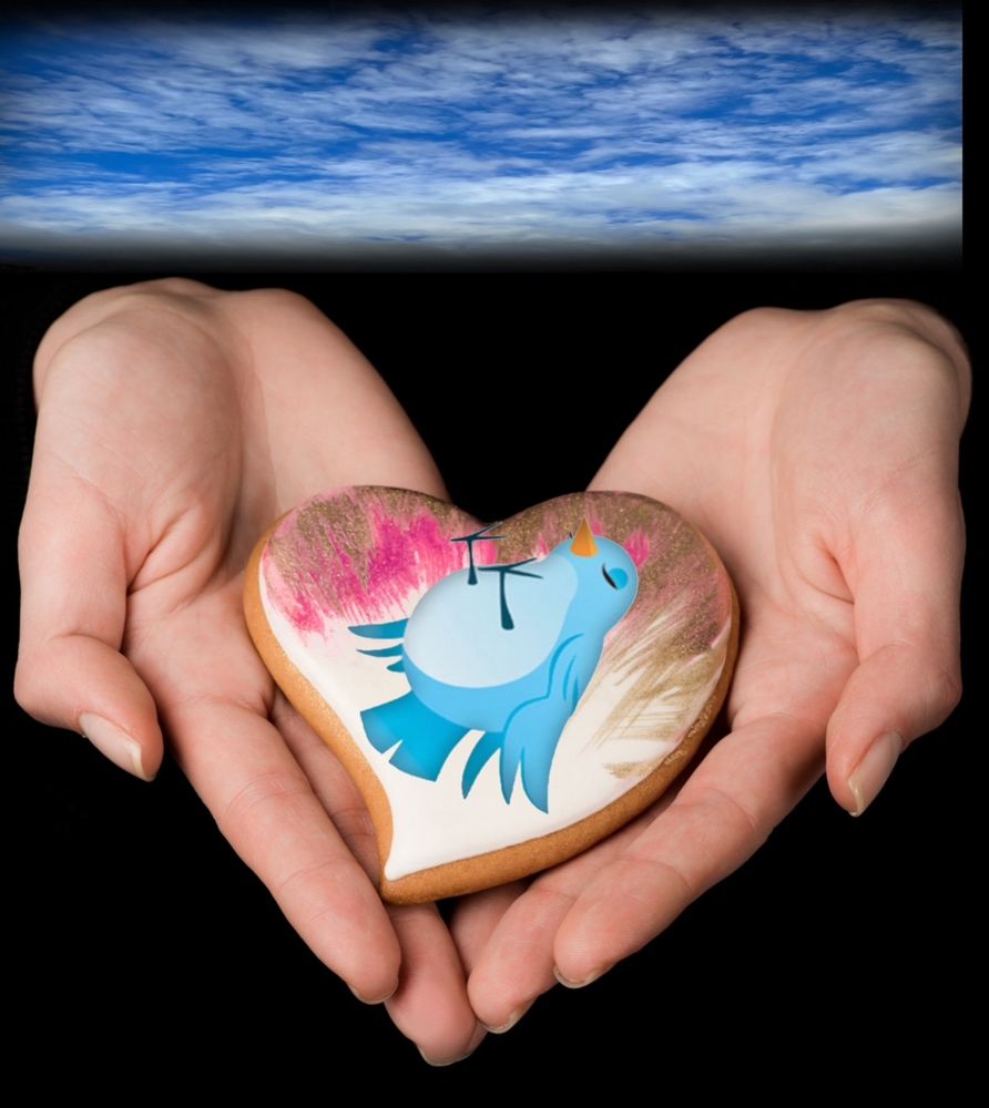 Twitter bird no longer 
