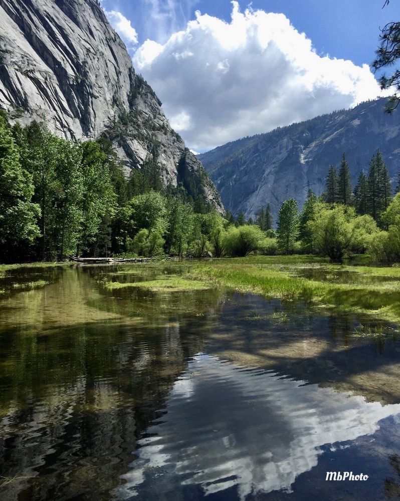 Beautiful Yosemite