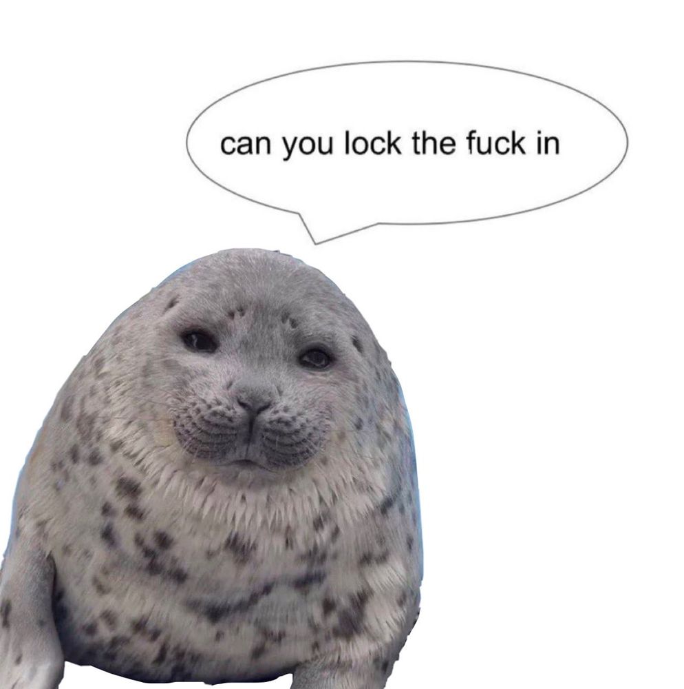 A baby seal with a chat bubble stating “can you lock the fuck in” 