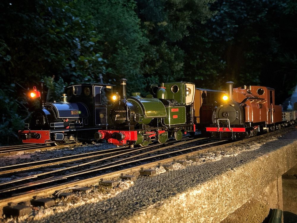 Three 16mm scale steam engines (Twig, Talyllyn and Duke) lined up at dusk with headlamps illuminated 