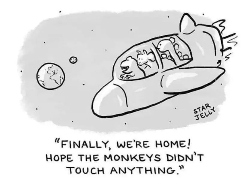 cartoon - dinosaurs in space ship approaching earth - "Finally, we're home! Hope the monkeys didn't touch anything."