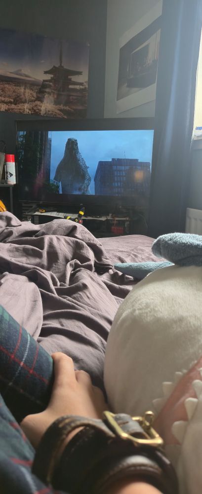bed with a Blahaj and a TV with a Godzilla on it 