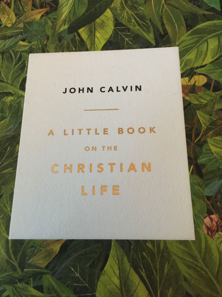 A Little Book on the Christian Life (Ligonier, 2017), by John Calvin (Denlinger and Parsons, trans.)