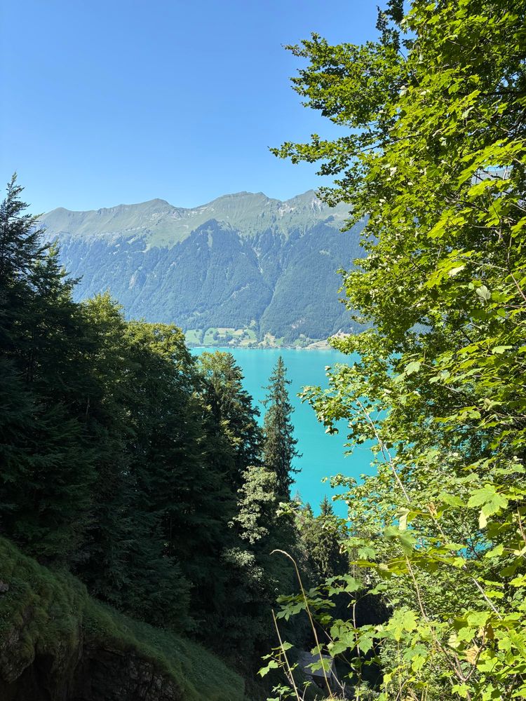 View of lake from mountain 