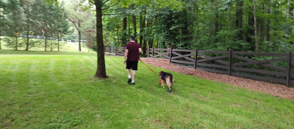 A man and his dog on a walk