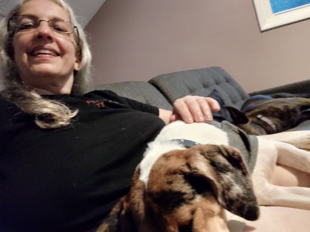 Mesa, beagle mix, on lap and Chaco, retriever mix, next to me on the couch.