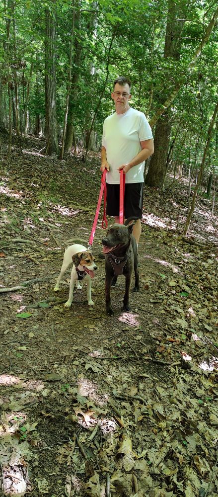 Brindle retriever mix Chaco, white and tan hound mix Mesa, and husband in the woods.