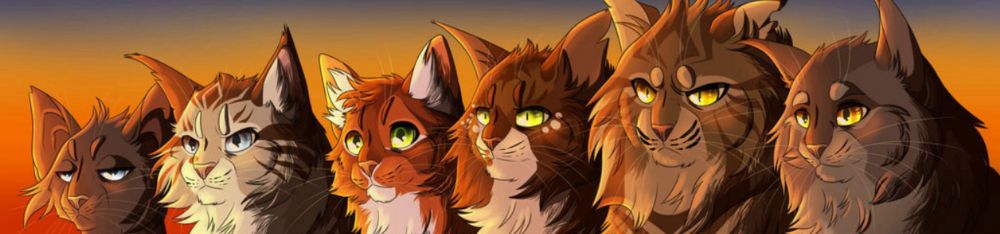 The best Warriors journey moments | Warrior Cats