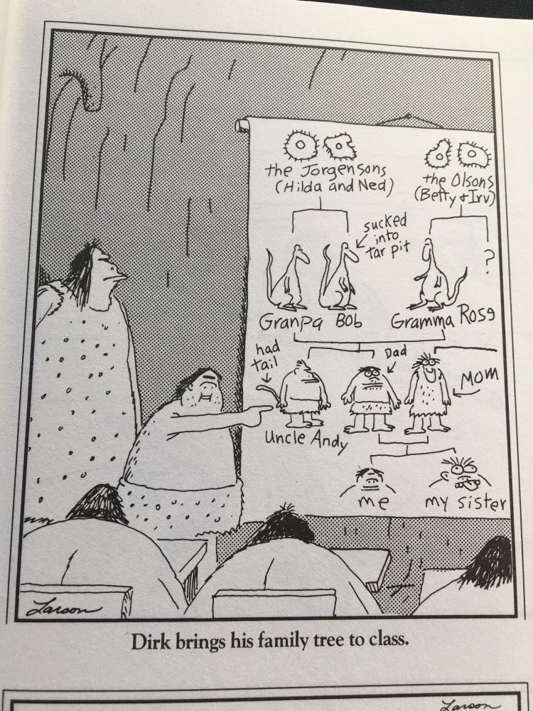 Dirk erklärt der Klasse seinen Familienstammbaum😇