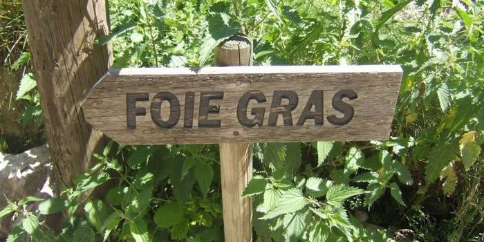 Flèche en bois avec foie gras indiqué dessus. Arrière plan végétal.