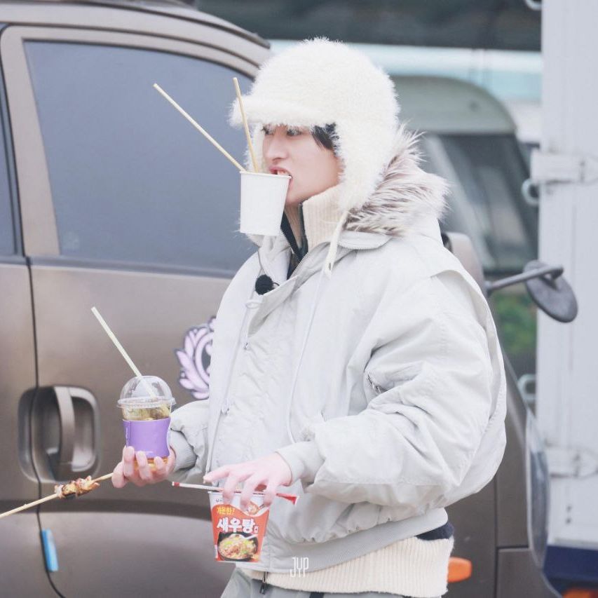 stray kids lee know