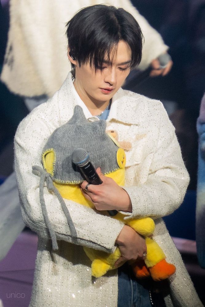 stray kids lee know