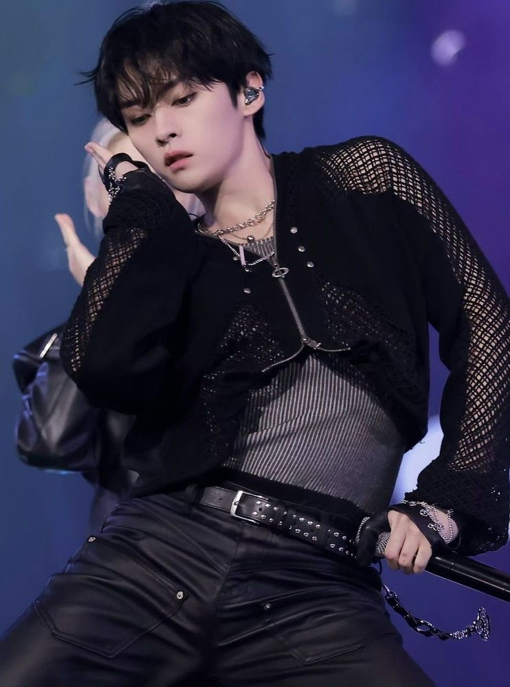 stray kids lee know 