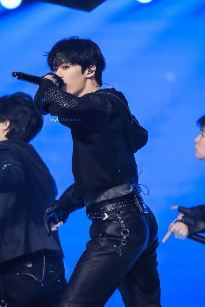 stray kids lee know 
