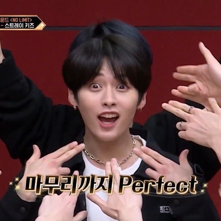 stray kids lee know