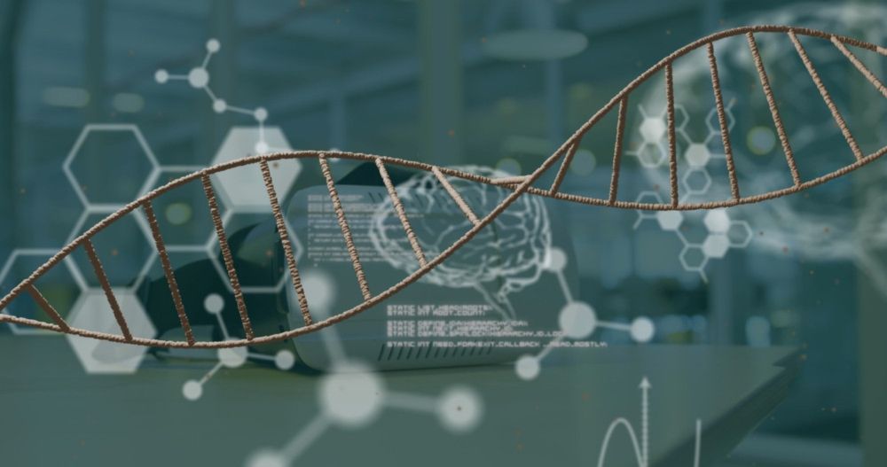 2024 in the news from the Faculty of Biology, Medicine and Health
