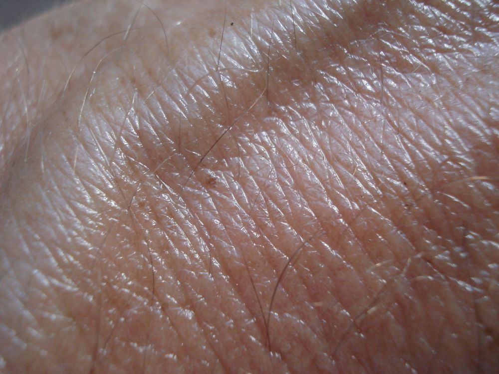 New insights into the immune system’s crucial role in wound healing revealed