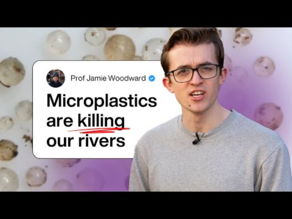 The truth about English water pollution and sewage