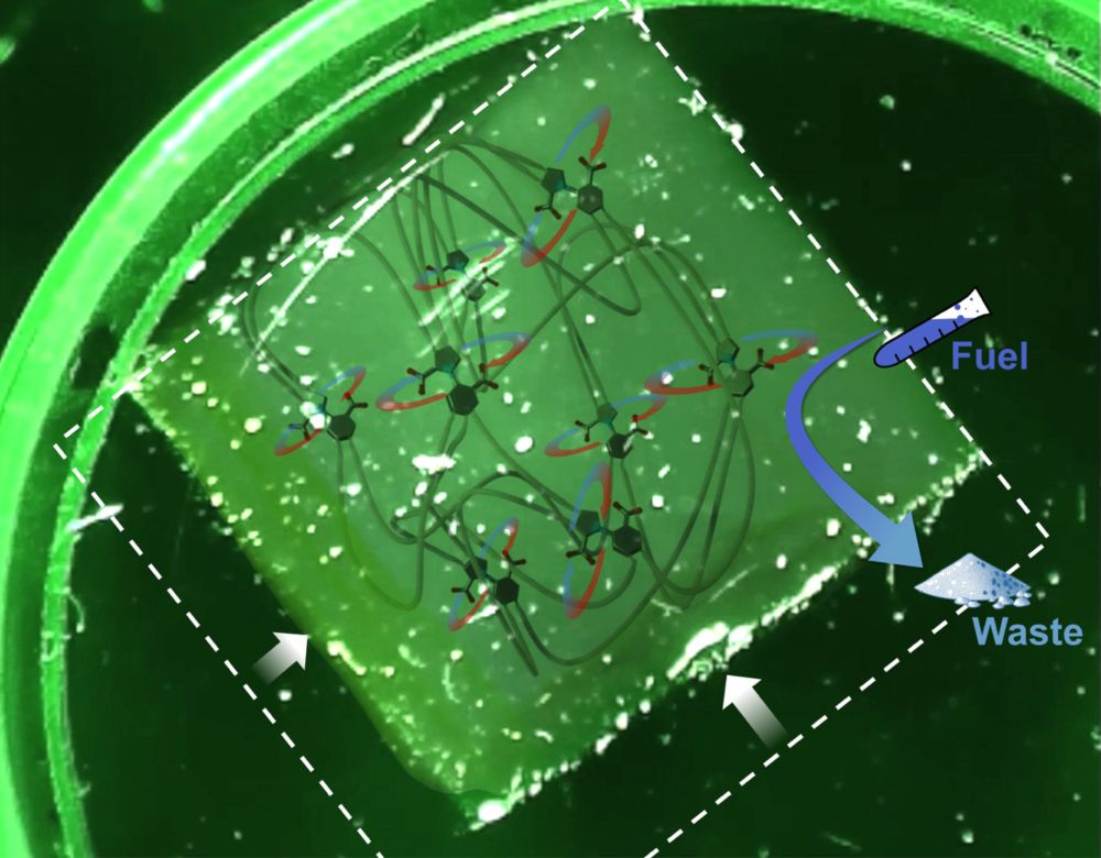 Scientists create tiny motors that mimic nature