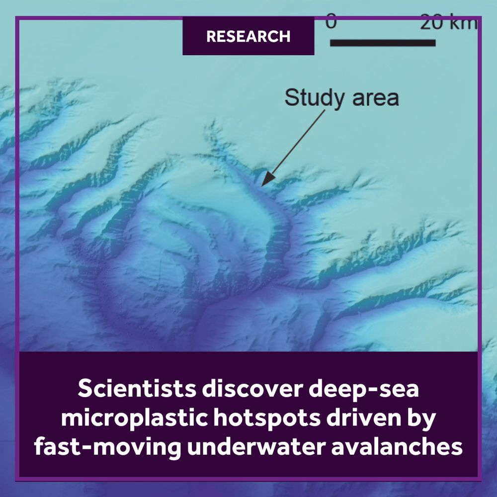 An infographic showing a screenshot of the study area, with a scale from 0-20km and microplastic hotspots can be seen beneath the sea. Text over the top reads: 'Research: Scientists discover deep-sea microplastic hotspots driven by fast-moving underwater avalanches'