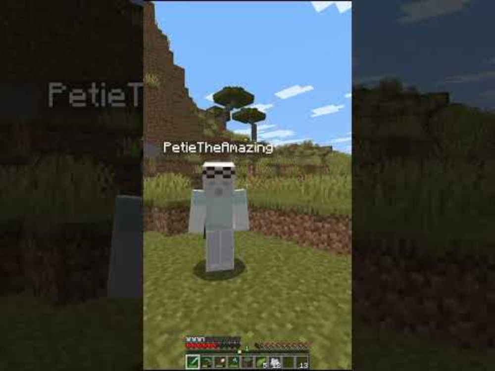 Weird bugs in Minecraft 25w31a
