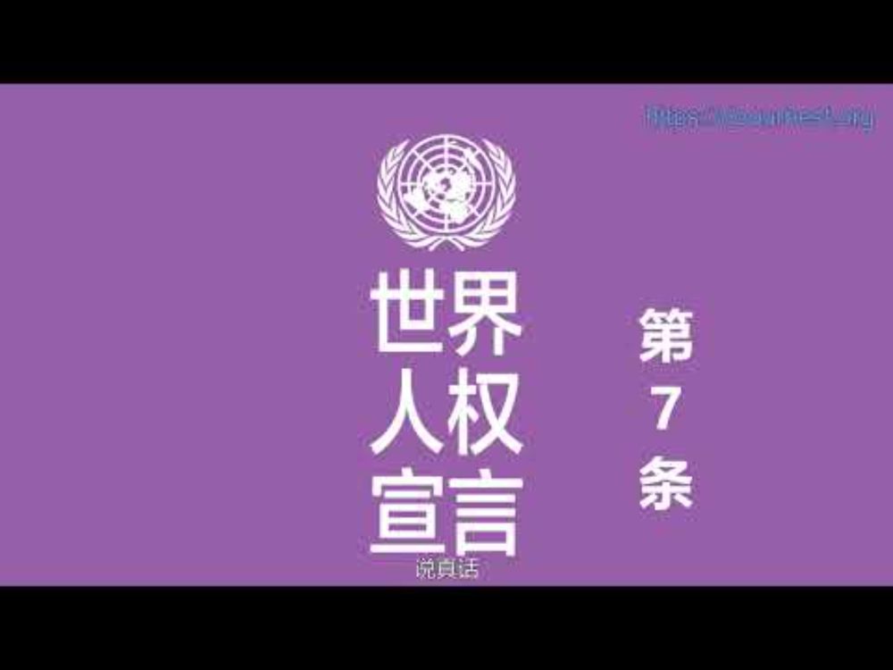 《世界人权宣言》第七条