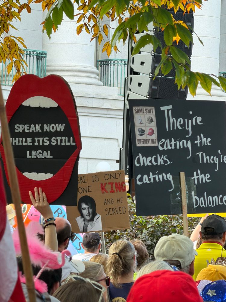 Two sings from the No Kings protest. 

One reads: “there is only o e king, and he searved”, next to a picture of Elvis. 

The second reads: “they’re eating the checks. They’re eating the balances.”