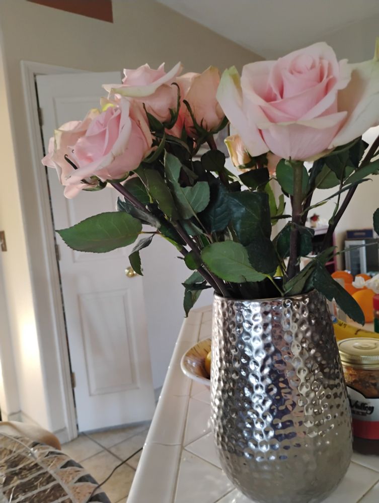 Diver vase with pink roses