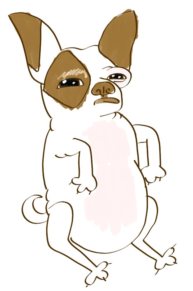 fat mcsquinto pinto BEAN!!!!!!!!!!