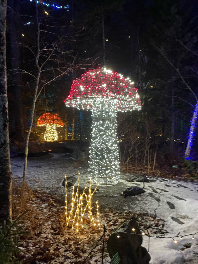 Light displays in the shape of mushrooms 
