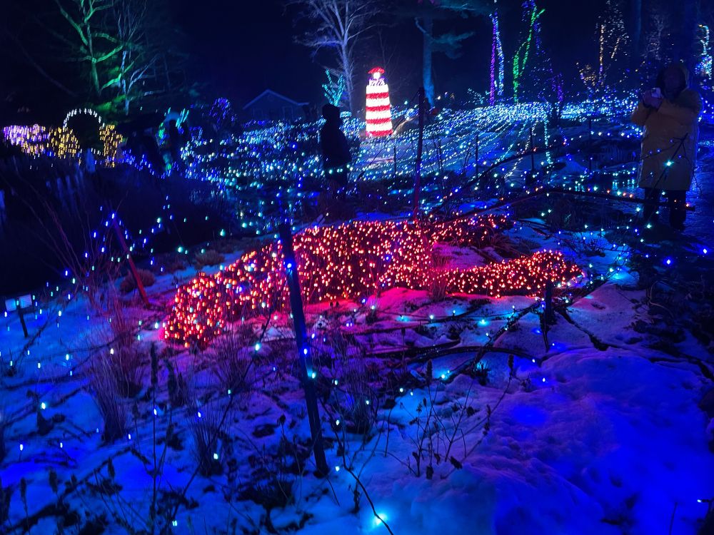 Light display in the shape of a lobster with a lighthouse in the background 