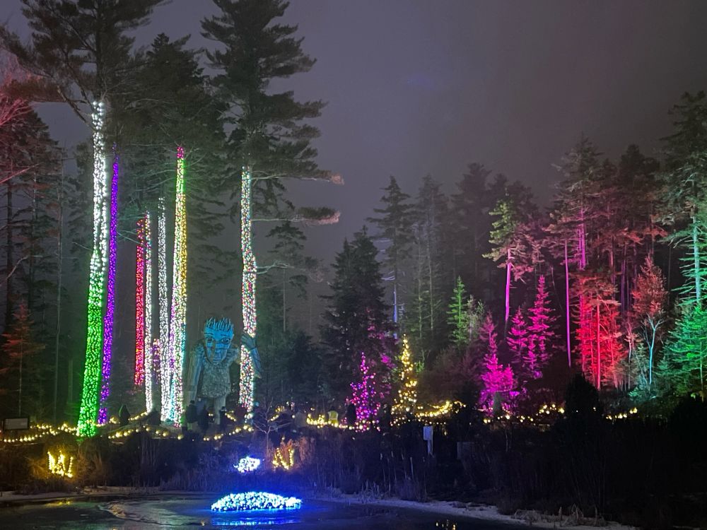 Colorfully lit trees and a troll sculpture. 