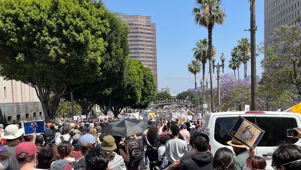 an nigh-endless crowd of protesters in los angeles, one of whom is holding a sign that depicts hello kitty waving a palestine flag